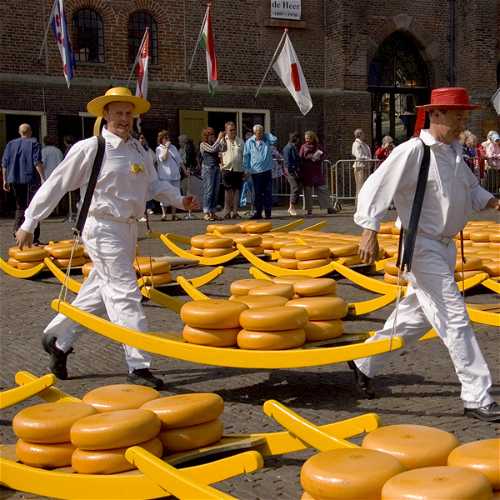 Rsultat de recherche d'images pour "alkmaar march aux fromages"